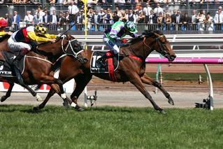 I Am A Star (NZ) winning the G1 Myer Classic.